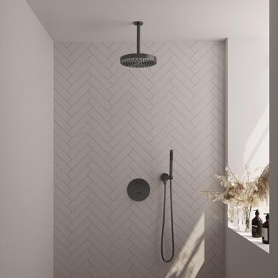 Brauer Stripe thermostatische inbouw regendouche 3-weg rond SET 39 met 25 cm douchekop en plafondarm en staaf handdouche en doucheslang en wandaansluitbocht gunmetal geborsteld PVD
