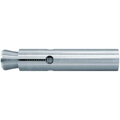 Fischer 60758 FZA 12 x 40 M 6 I Binnendraadplug 12 mm 25 stuk(s)