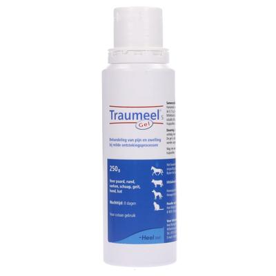 Heel Traumeel S gel veterinair 250 Gram Heel Traumeel S gel veterinair 250 Gram