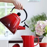 LE CREUSET - Kone - Fluitketel 1,60L Rvs - thumbnail
