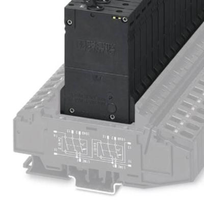Phoenix Contact 0915849 TMCP 1 M1 300 12,0A Beveiligingsschakelaar 250 V/AC 12 A 6 stuk(s)
