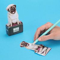 Mosterd Hond In Een Doos - thumbnail