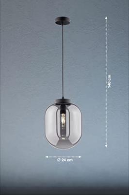 Fischer & Honsel Smoke glazen hanglampRegi Ø 24cm - 60710