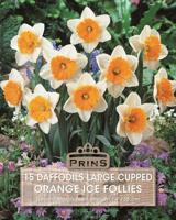 Prins Narcis daffodils Ice Follies orange 15 bollen - thumbnail
