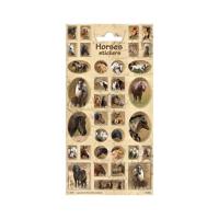 Totum Stickervel paarden - thumbnail