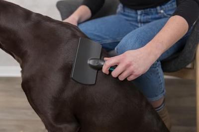 Slickerborstel Groot voor de hond Per stuk