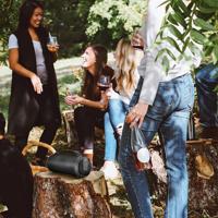 Travel Bluetooth Speaker Draadloos - Draagbare Party Speaker - AUX, SD en USB (HPG240BT) - thumbnail