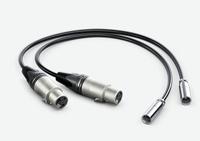 Blackmagic Video Assist Mini XLR Cables - thumbnail