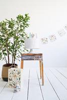 Folat BV uitdeelzakjes wilde dieren, 6st. - thumbnail