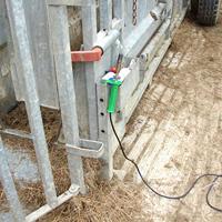 Express Elektrische onthoorner SAROS - thumbnail