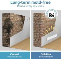 Schimmel-DRY DH-WHI-SDRY-SET Wandontvochtiger/schimmelverwijderaar Wit - thumbnail