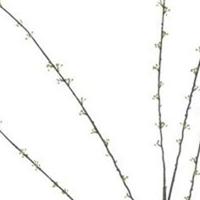 Spring seeded spray green 170 cm kunstbloem Erutan Avon - Erutan avon - thumbnail