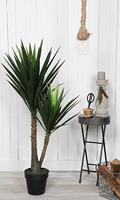 Decoratieve plant Mica Decorations Yucca (120 x 60 cm) - thumbnail