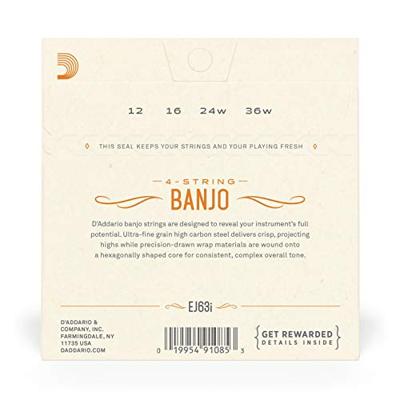 D&apos;Addario EJ63i Nickel Medium 12-36 snaren voor Ierse tenor banjo