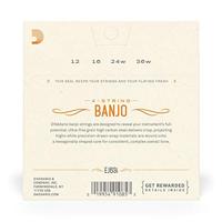 D&apos;Addario EJ63i Nickel Medium 12-36 snaren voor Ierse tenor banjo - thumbnail