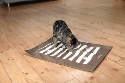 Speelmat en beloningen voor huisdieren Trixie Bruin Crème Papier Crunch 70 × 50 cm - thumbnail
