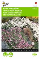 Zaden Rotstuinbloemen Mengsel Buzzy - Buzzy - thumbnail