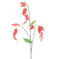 Dicentra spray red 96 cm kunstbloem Erutan Avon - Erutan avon - thumbnail