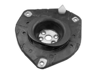 Veerpoot 16146410011