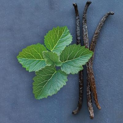 Elie Saab Le Parfum Royal Eau de Parfum 90ml Elie Saab Le Parfum Royal Eau de Parfum 90ml