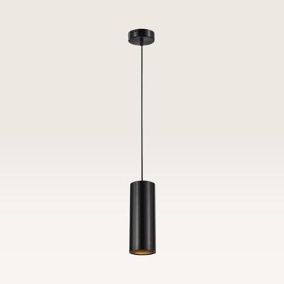 Hanglamp Erdena nero - GU10-fitting - Minimalistisch design - Licht dat lijkt te zweven - IP20 voor binnen