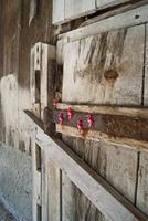 Trendform Magneet Flamingo - set van 5 stuks - thumbnail