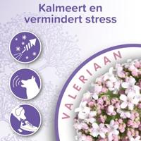 BEAPHAR NO STRESS HALSBAND HOND 65 CM - thumbnail