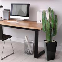 Euphorbia kunst Cactus 70cm - thumbnail