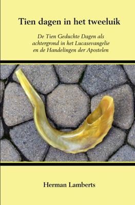 Tien dagen in het tweeluik - Herman Lamberts - Paperback (9789463984805)