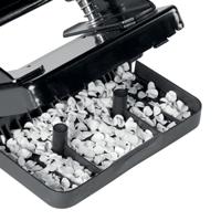 Perforator Petrus - thumbnail