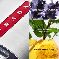 Herenparfum Prada Luna Rossa EDT 100 ml - thumbnail