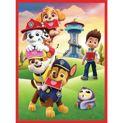 Puzzel Paw Patrol 30 En 48 Stukjes En Memory Puzzel Paw Patrol 30 En 48 Stukjes En Memory