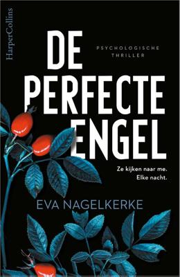 De perfecte engel (Paperback)
