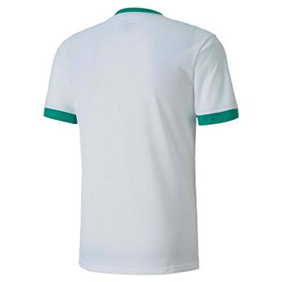 PUMA TeamGOAL 23 Trainingsshirt Wit Groen PUMA TeamGOAL 23 Trainingsshirt Wit Groen