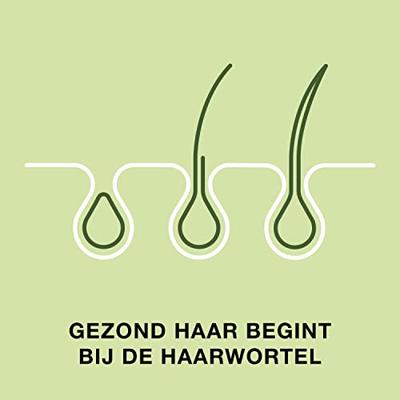 Priorin Haar Capsules