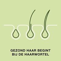 Priorin Haar Capsules - thumbnail