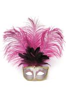 Venetiaans met veer roze - thumbnail