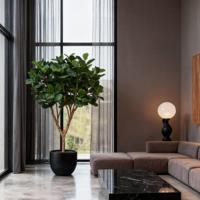 Ficus Lyrata XL kunstboom Deluxe 300cm - thumbnail