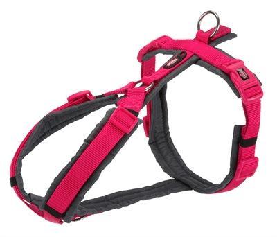 TRIXIE HONDENTUIG PREMIUM TREKKING FUCHSIA / GRIJS 44-53X2 CM TRIXIE HONDENTUIG PREMIUM TREKKING FUCHSIA / GRIJS 44-53X2 CM