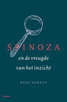 Spinoza en de vreugde van het inzicht (Hardback)