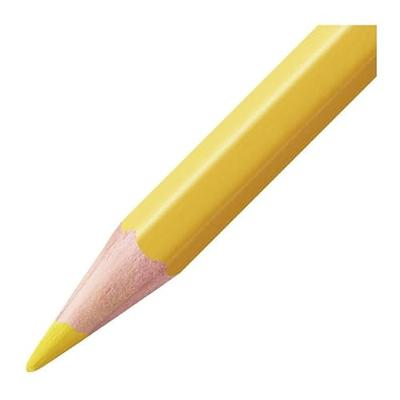 Kleurpotlood stabilo 1624 aquacolor arty 24st ass | 6 stuks