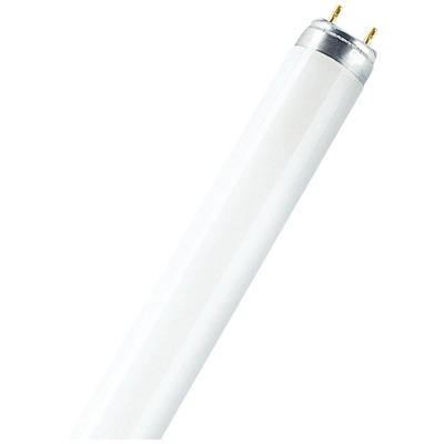 OSRAM HOMELIGHTING TL-lamp Energielabel: G (A - G) G13 36 W Warmwit Buis (Ø x l) 26 mm x 1213.5 mm 1 stuk(s)