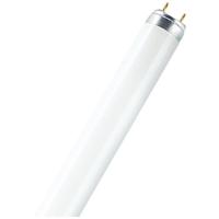 OSRAM HOMELIGHTING TL-lamp Energielabel: G (A - G) G13 36 W Warmwit Buis (Ø x l) 26 mm x 1213.5 mm 1 stuk(s) - thumbnail