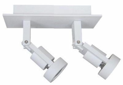 Artdelight Dubbele opbouwspotTech - PL TECH2 WI