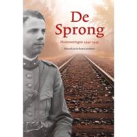 De sprong (Paperback) - thumbnail