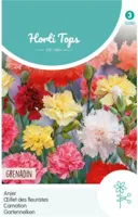 Zaden Dianthus Anjer Grenadin gemengd Hortitops - Hortitops - thumbnail