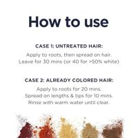 Phytocolor Permanent Color 9.3 Blond Très Clair Dorè - thumbnail