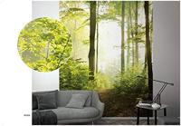 Noordwand Smart Art Easy Fotobehang bospad 47221 - thumbnail