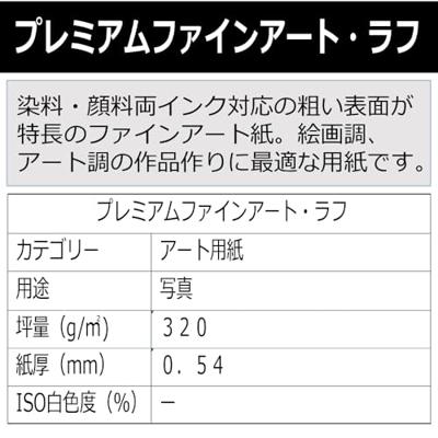 Canon FA-RG 1 Premium FineArt Rough A4 Paper 25 vel 320 g/m²