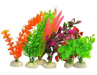Aqua Plants M (20 Cm) 6 Stuks aquaria Superfish - Superfish